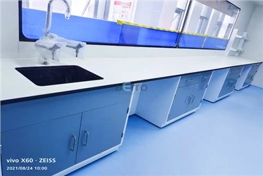 Height Adjustable Lab Bench